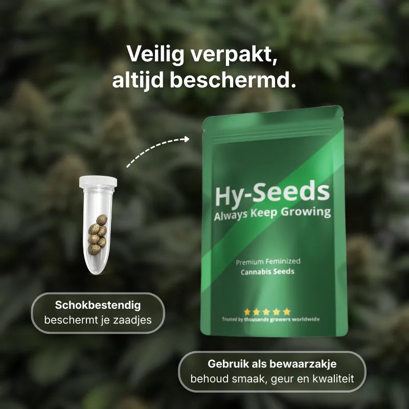 Hy-Seeds Anzuchtset 5 ml
